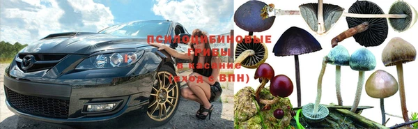 первитин Белоозёрский