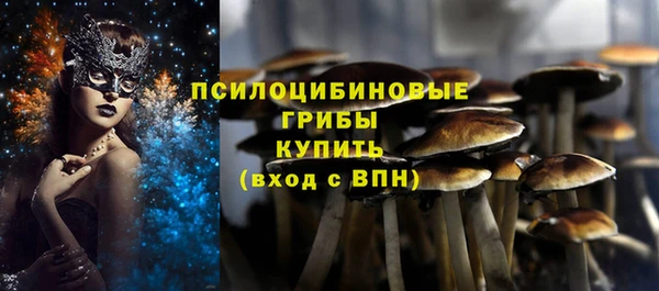 первитин Белоозёрский